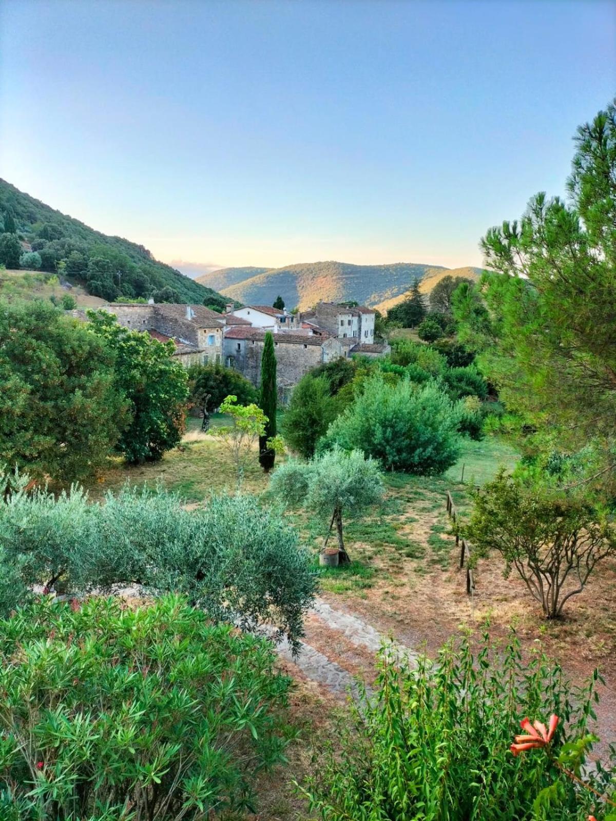 Chambre D'Hote Dans Mas Proche Anduze Cevennes Avec Piscine Mialet  Eksteriør billede
